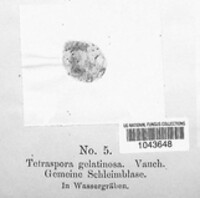 Image Associated With the Occurence